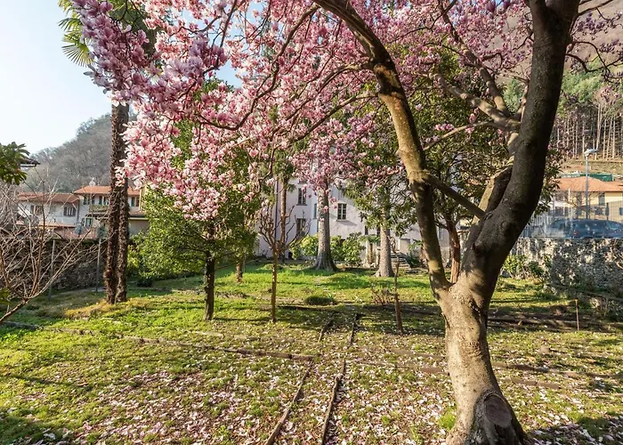Rosalinda 4*