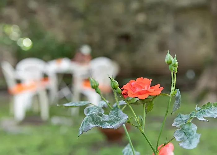 Rosalinda 4*